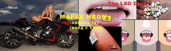 ГАЛЛЮЦИНОГЕННЫЕ ГРИБЫ Балахна