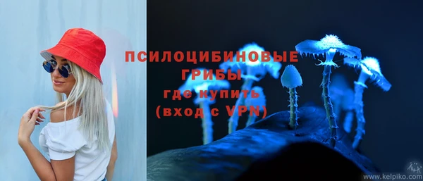 ГАЛЛЮЦИНОГЕННЫЕ ГРИБЫ Балахна