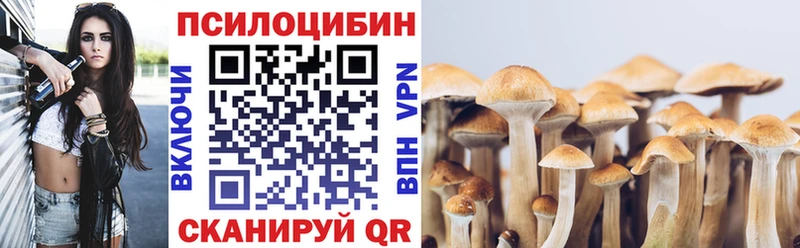 маркетплейс официальный сайт  Пойковский  Галлюциногенные грибы Psilocybe 